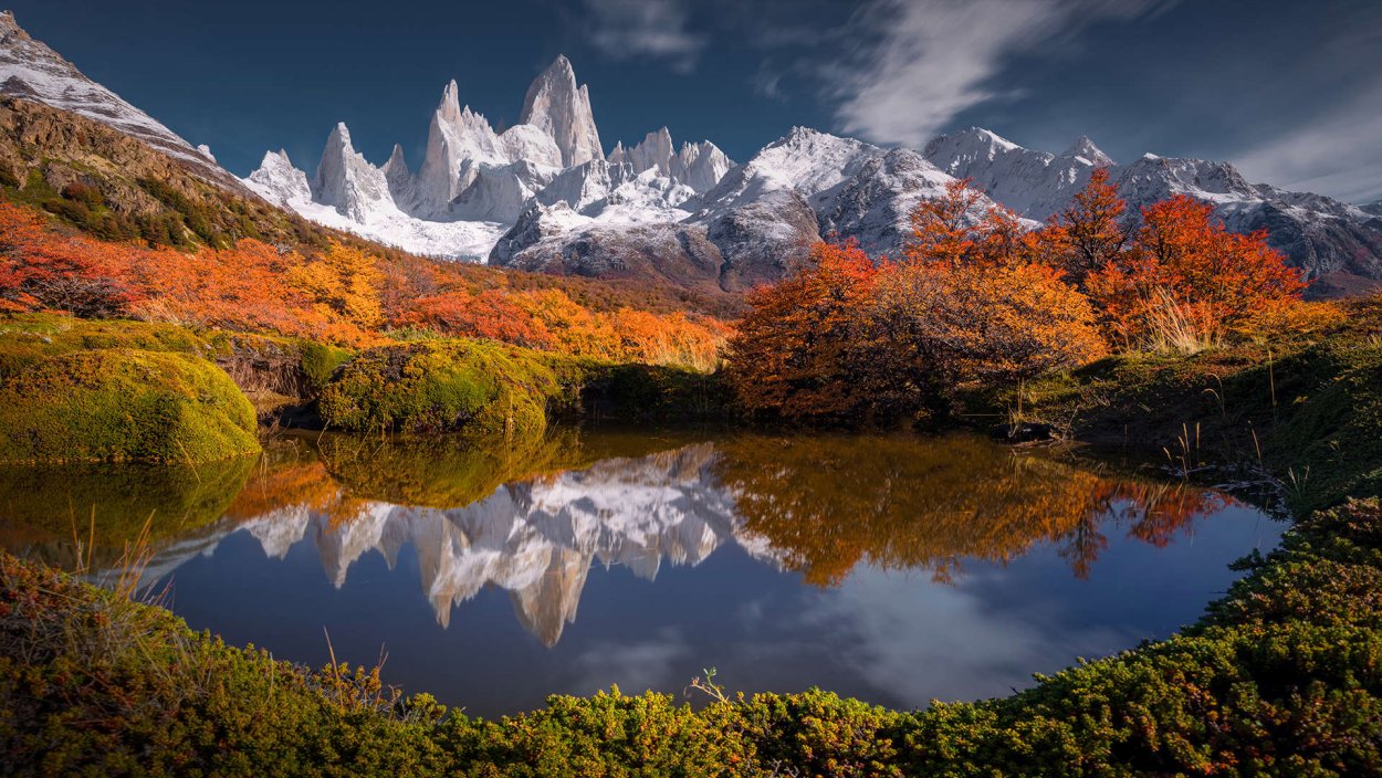 Патагония Южная Америка Флора