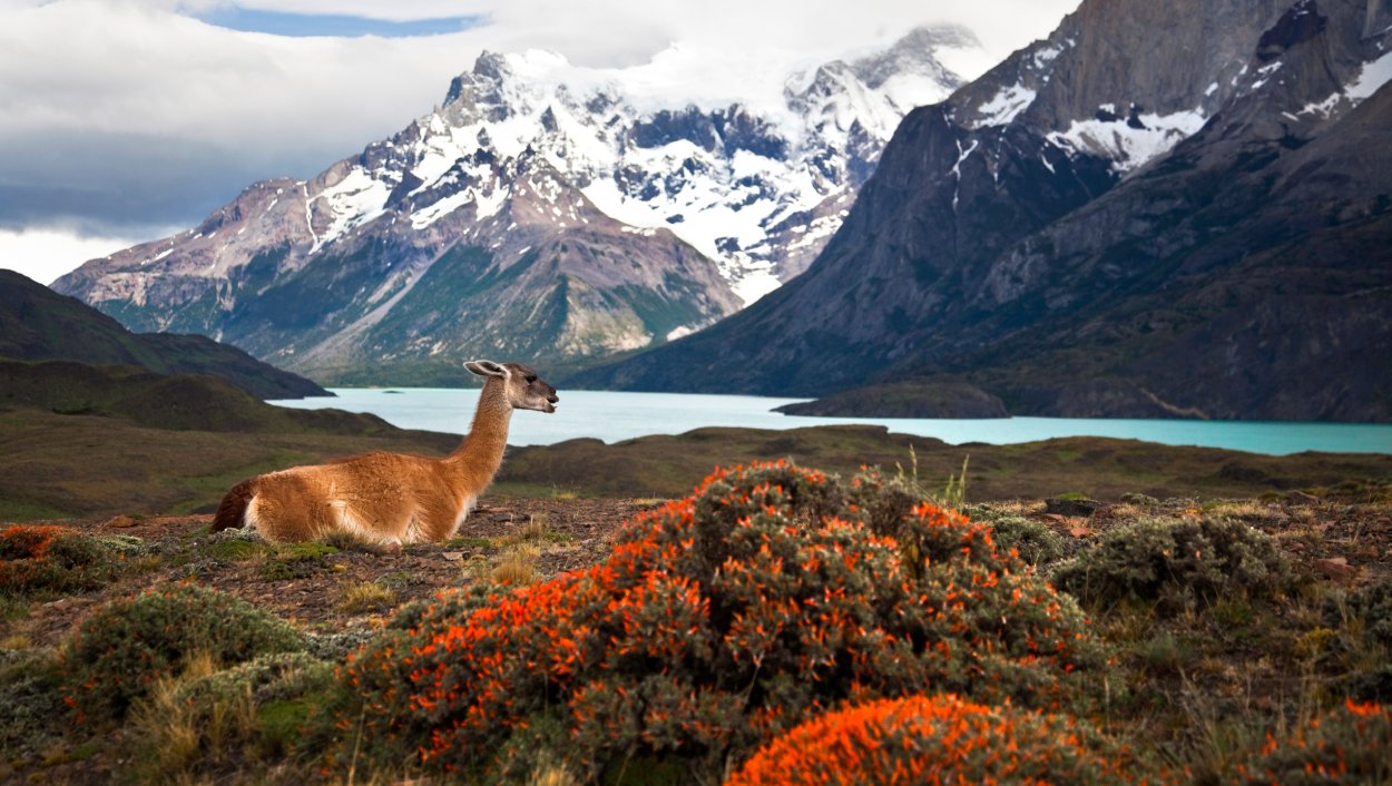 Аргентина Анды для детей