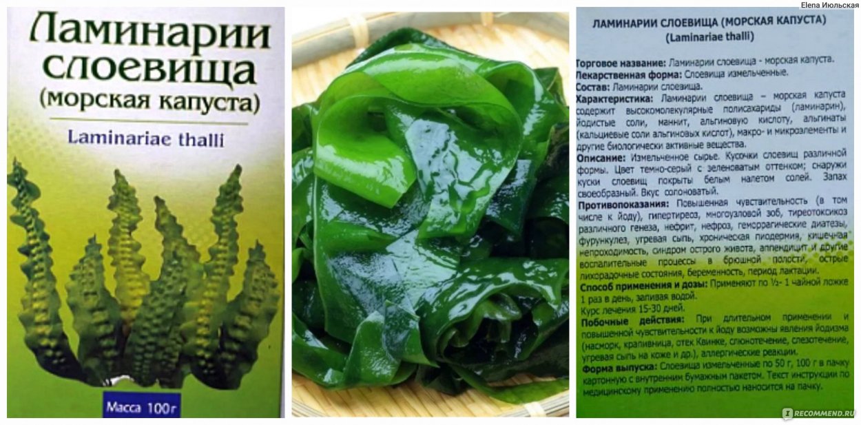 Морские водоросли суши нори
