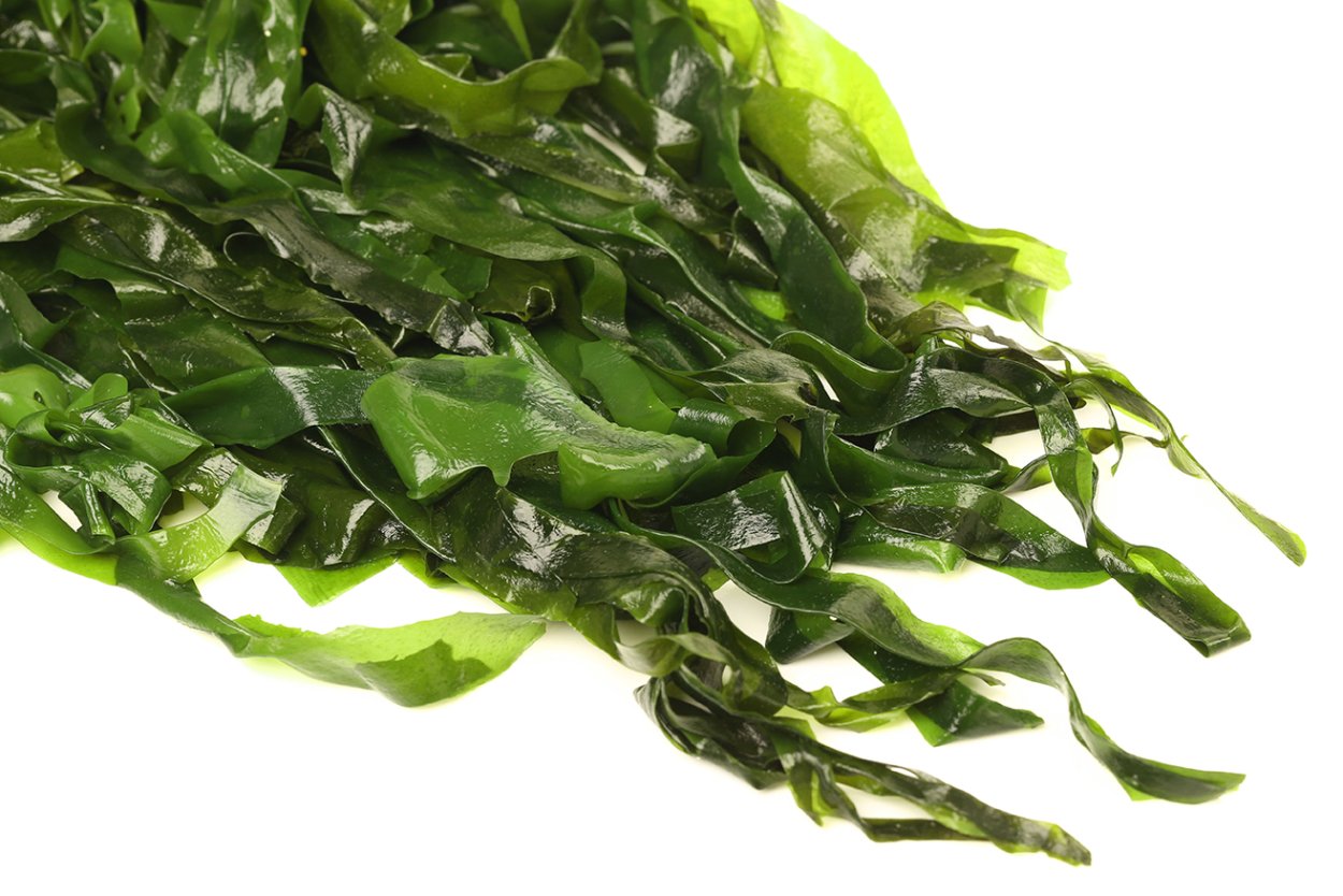 Морская капуста ламинария