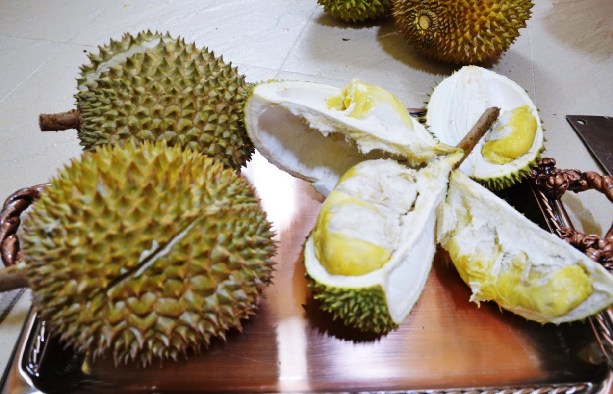 Дурман трава