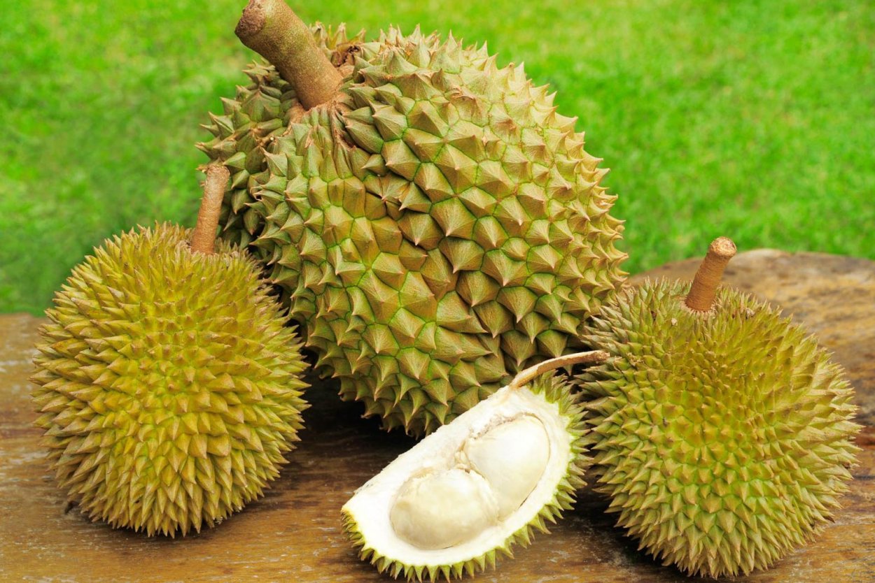 Дуриан фрукт Тайланд