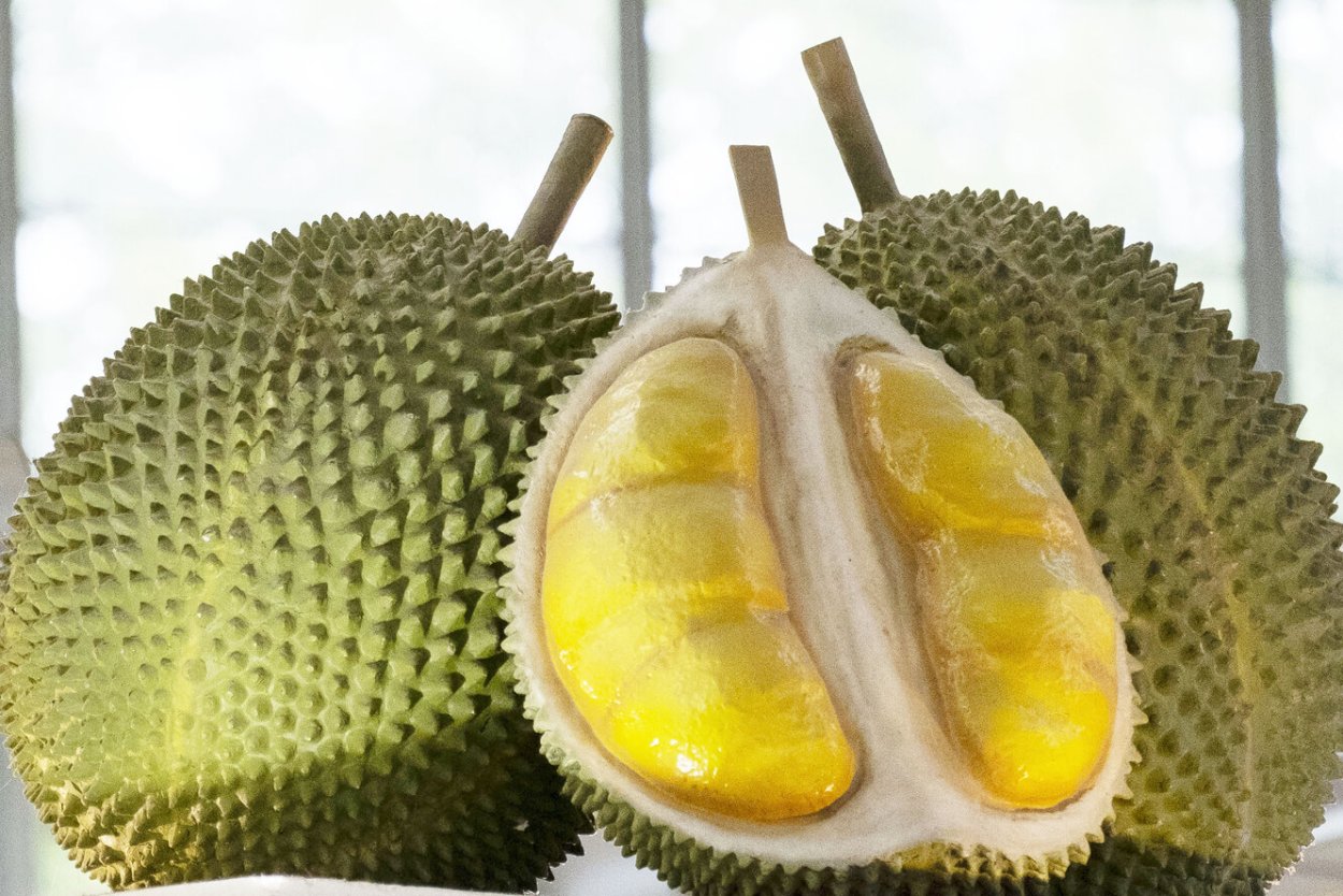 Личи гуава дуриан
