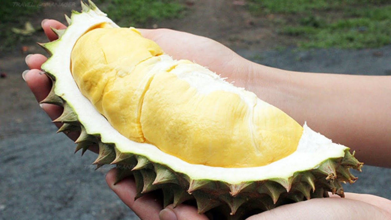 Растения Таиланда дуриан