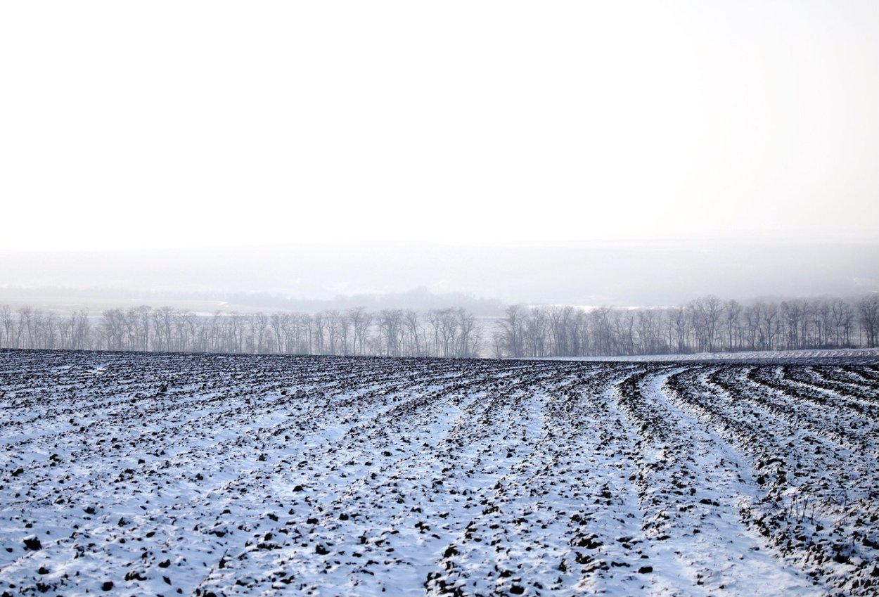 Поле зимой
