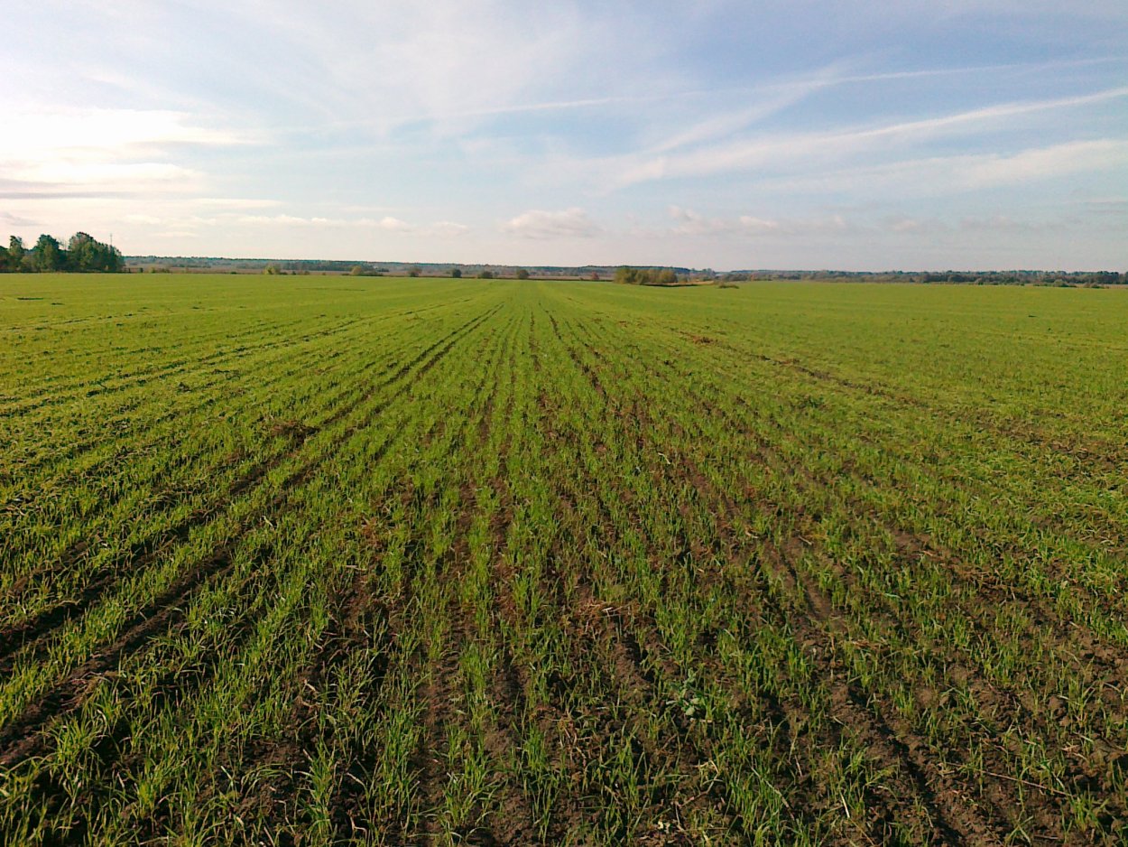 Сельхоз поля