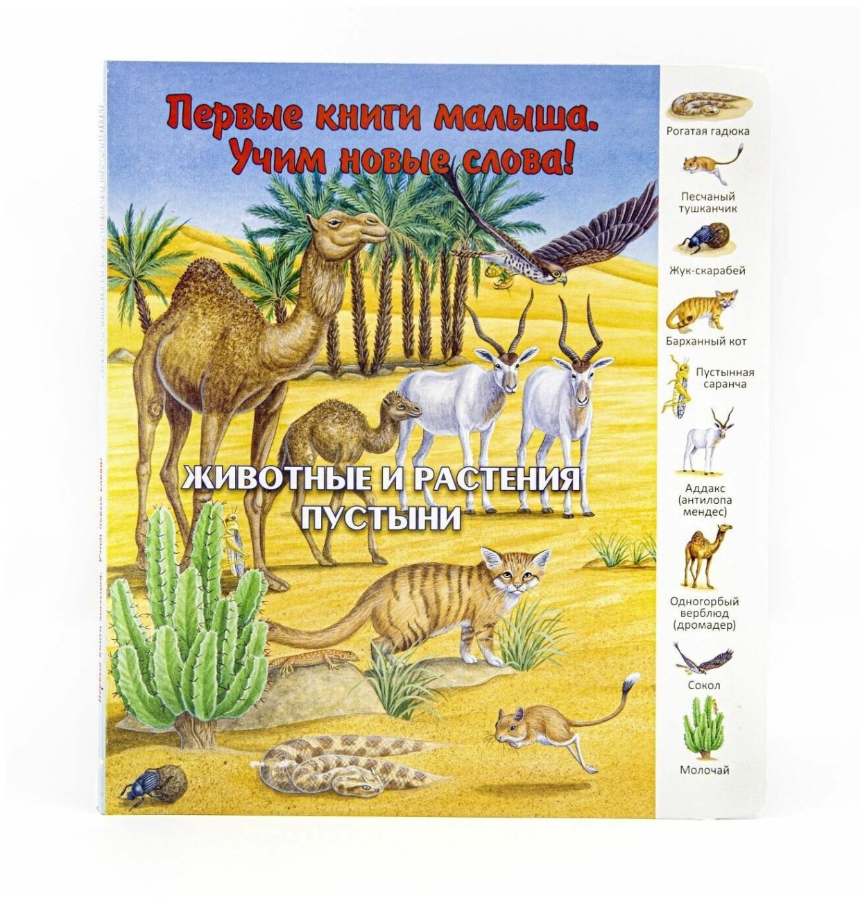 Животные и растения в постини