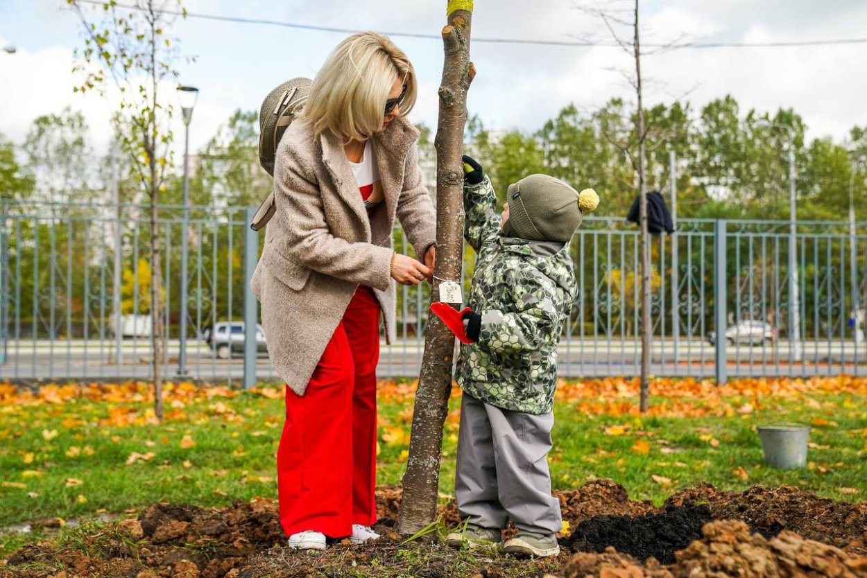 Торфяные стаканчики