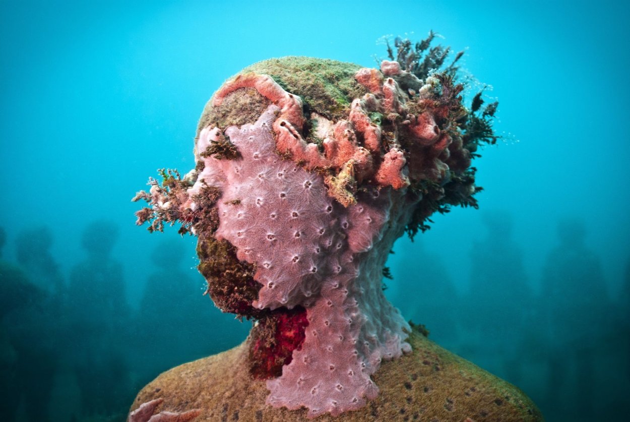 Jason DECAIRES Taylor