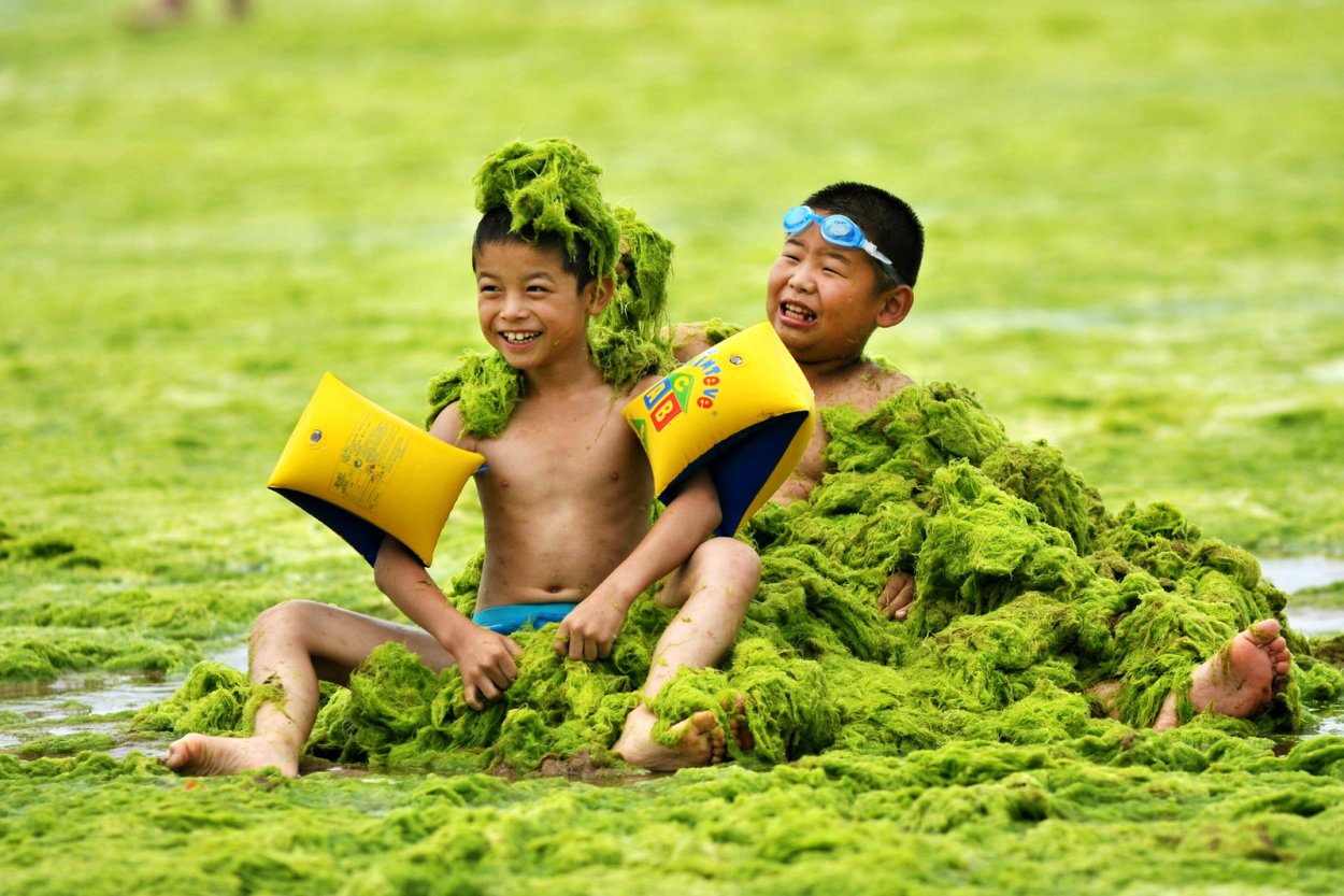 Косметика с водорослями ламинария