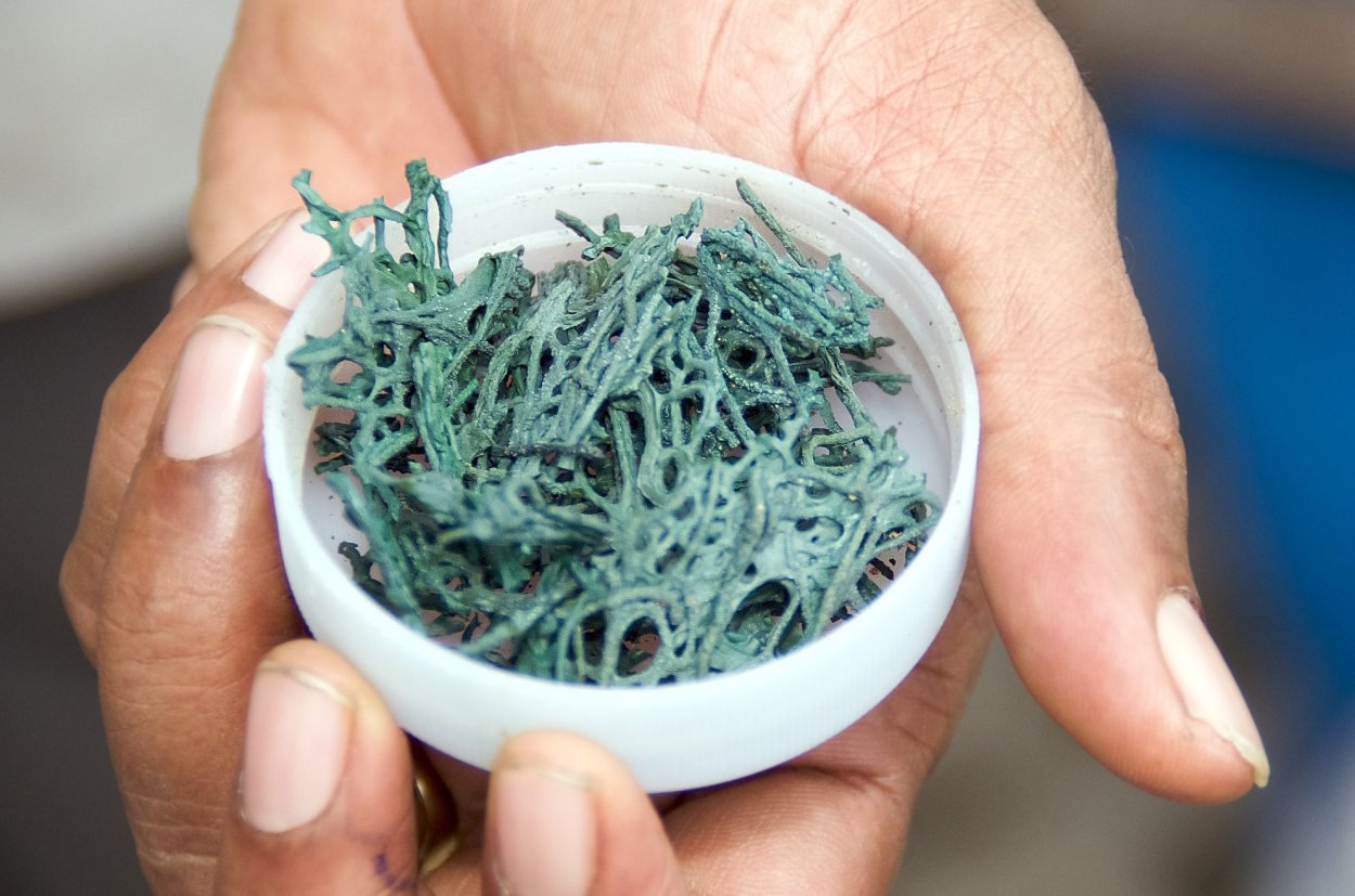 Река Каньо Кристалес