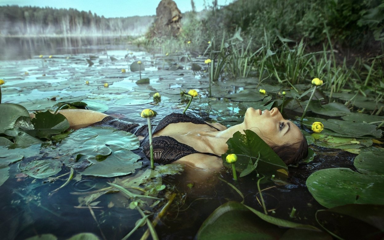 Каррагинан водоросли