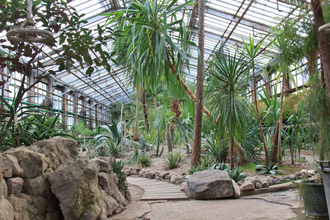 Оранжерея Ботанический зимний сад