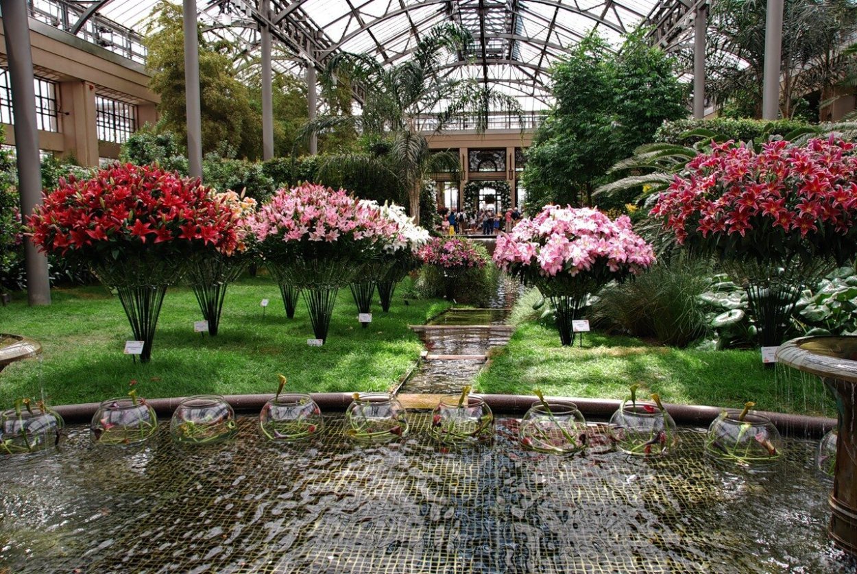 Phipps Conservatory and Botanical Gardens Питтсбург