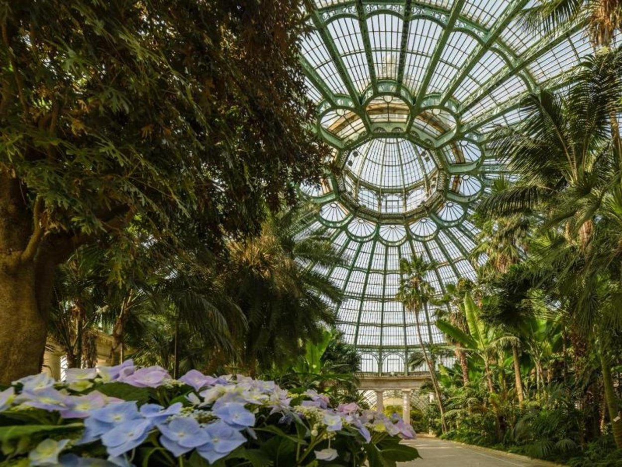 Василий дворцов оранжерея