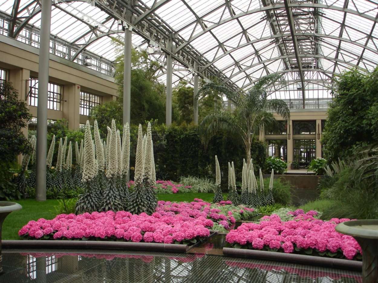 Оранжерея Кью Гарденс