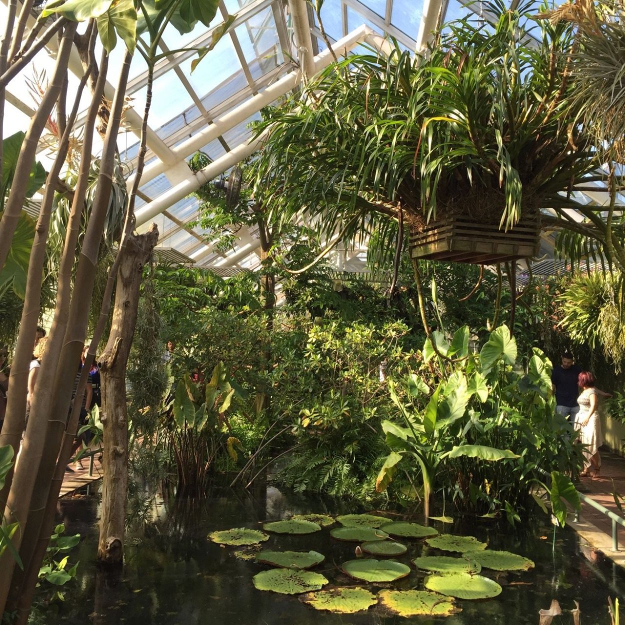 Вилла Мария Англия оранжерея