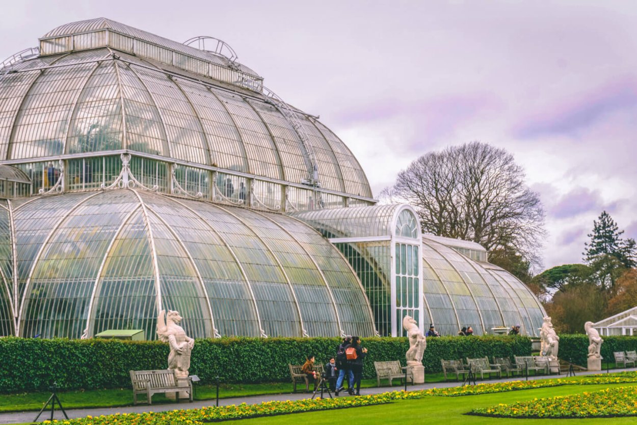 Ботанический сад МГУ Аптекарский огород