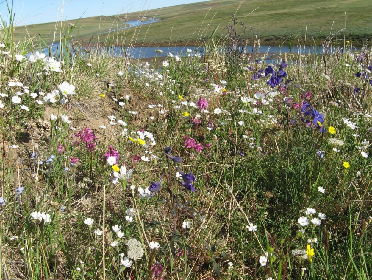 Эстетики с растениями