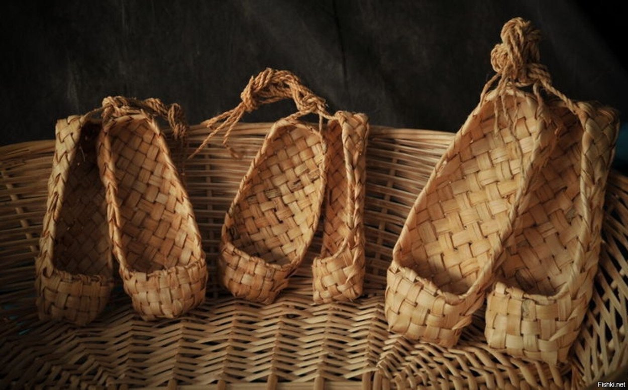 Чертополох пуховый