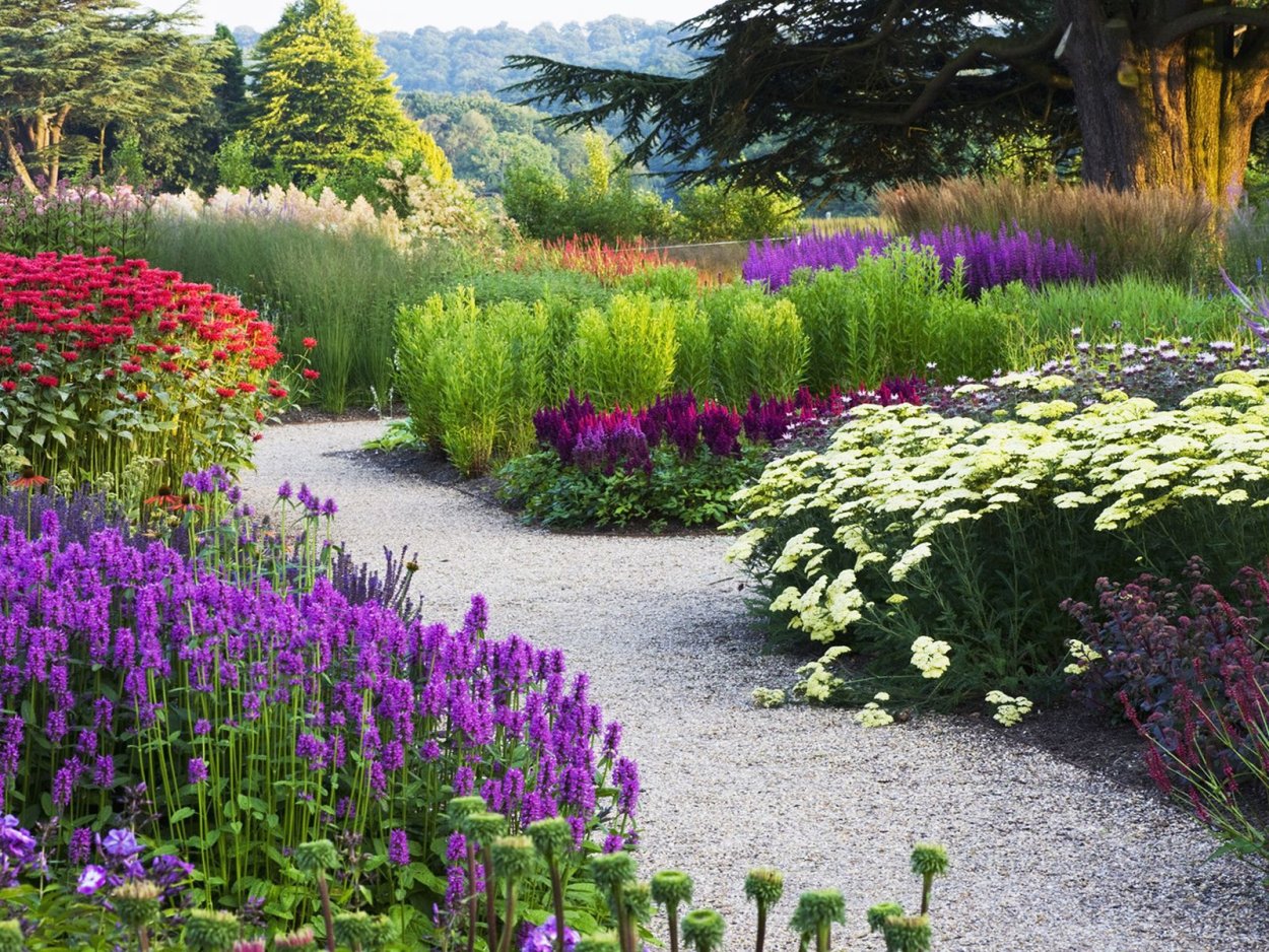 Миксбордер рабатка Люпин Флокс