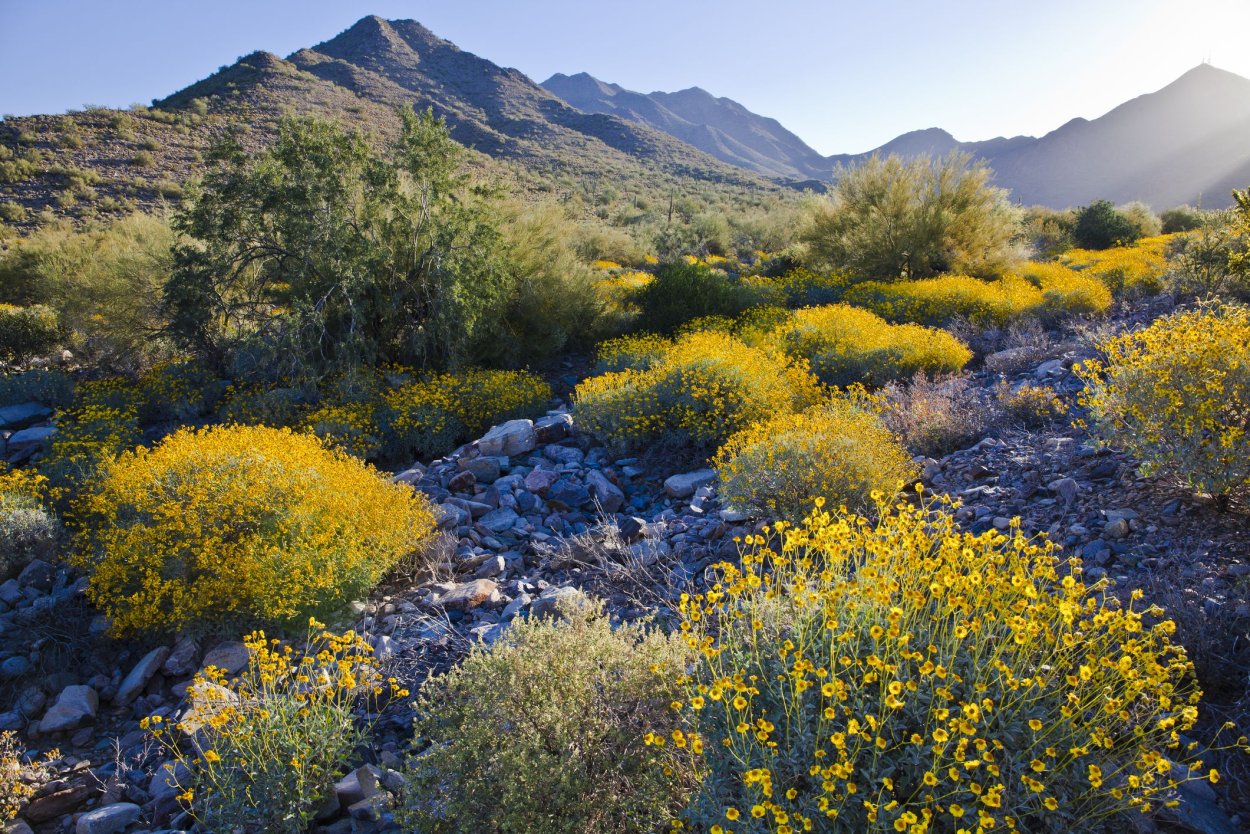Зоны зимостойкости в Крыму