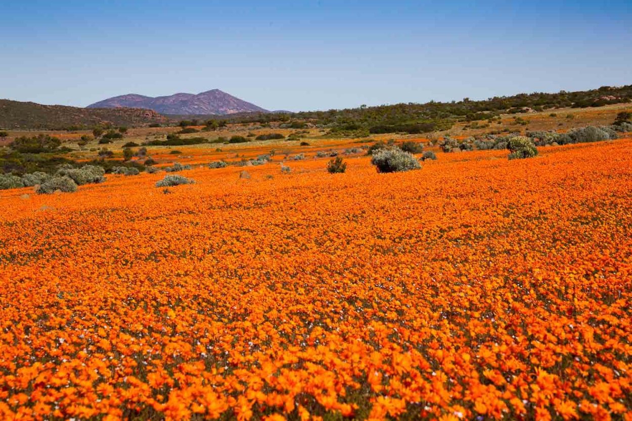 Намакваленд, ЮАР