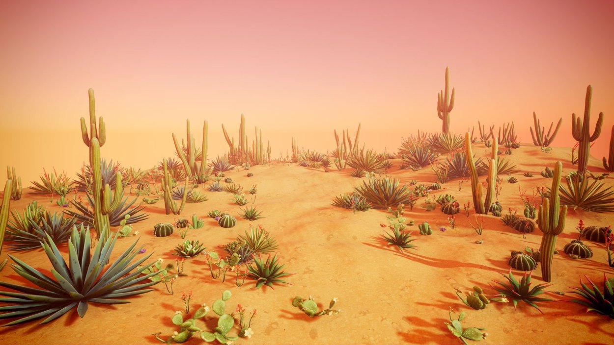 Пустыня Сонора