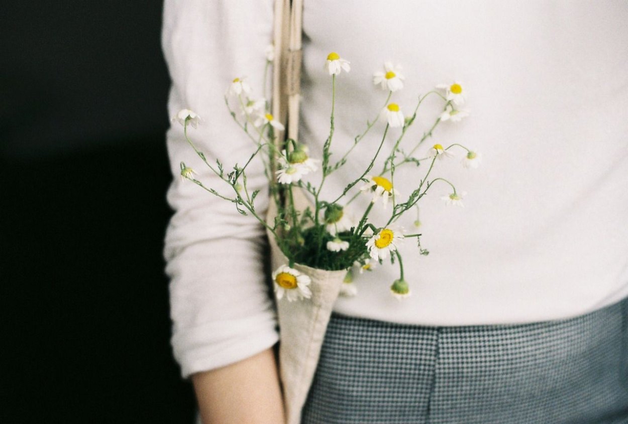 Оливия цветок