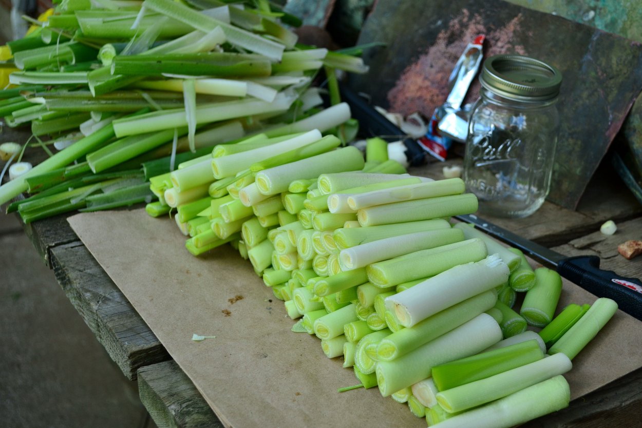 Хрен- лекарственное растение
