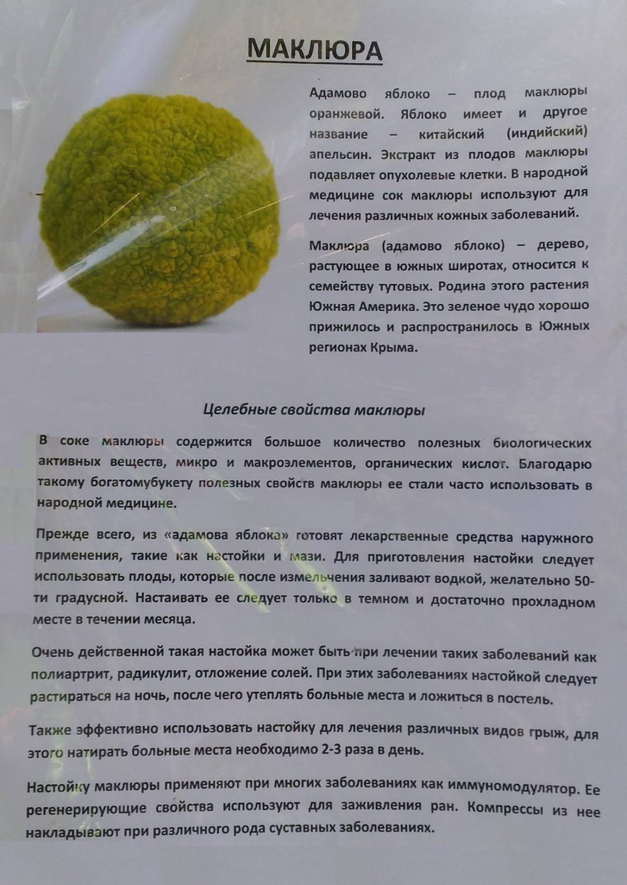 Плод маклюра применение