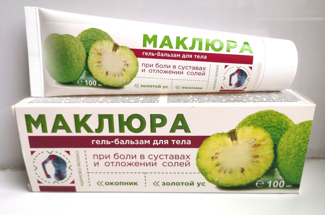 Маклюра адамово дерево