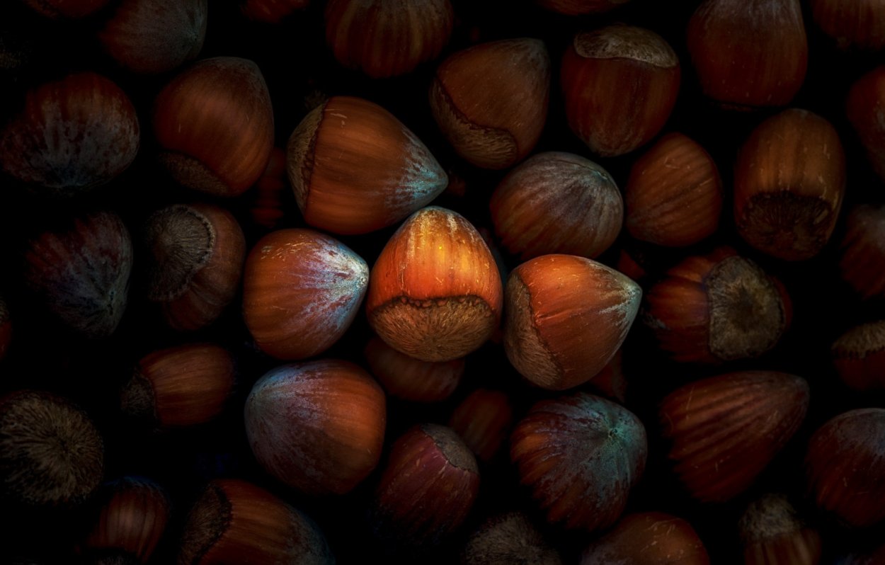 Каштан дерево