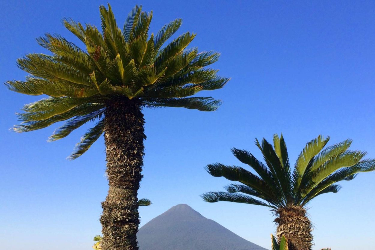 Ботанический сад кибуца Эйн-Геди