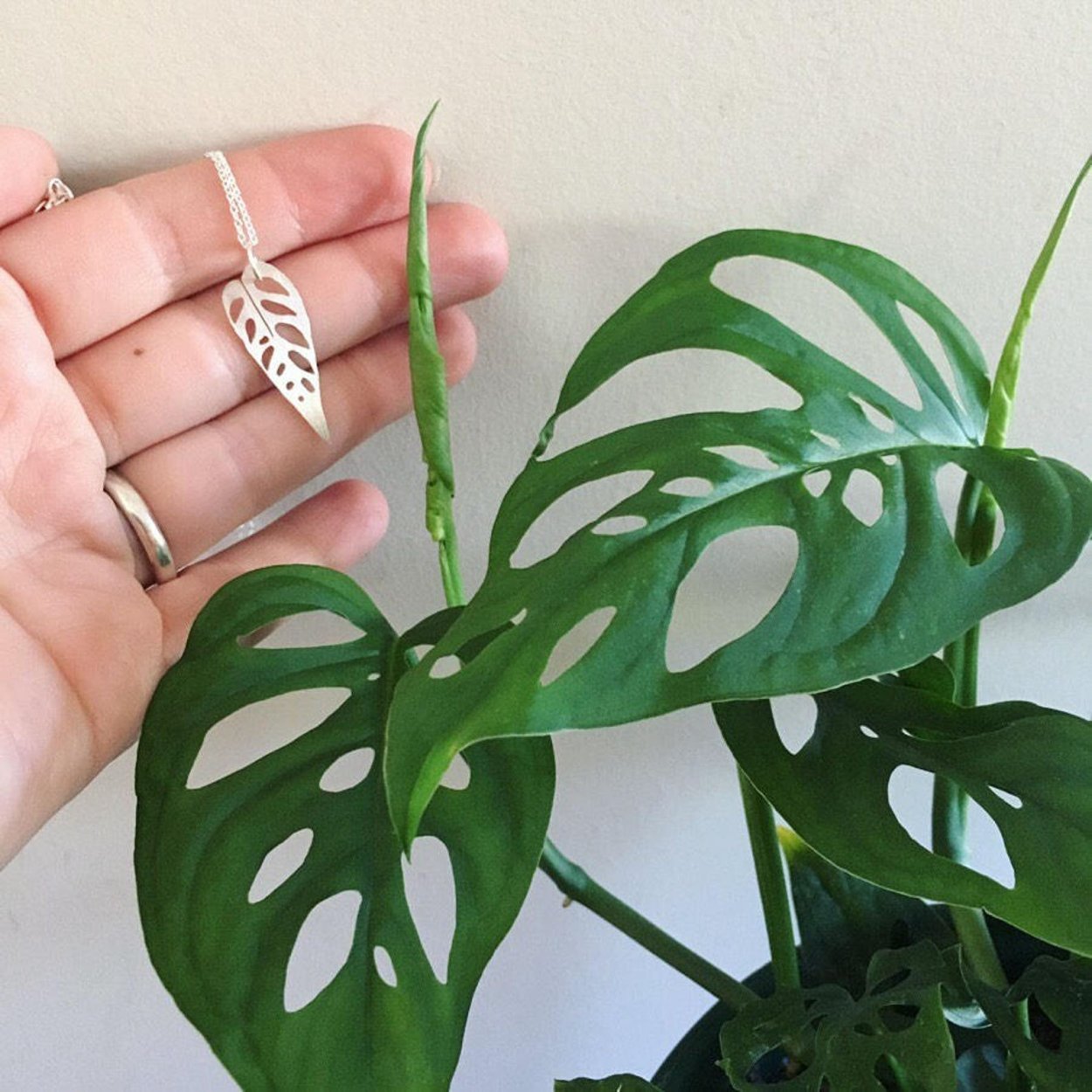 Крупные листья