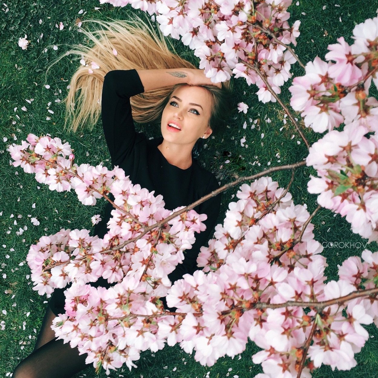 Разнотравье Луговой цветник