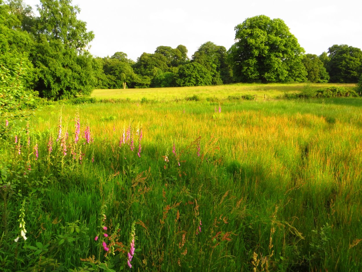 Селфи с букетом цветов