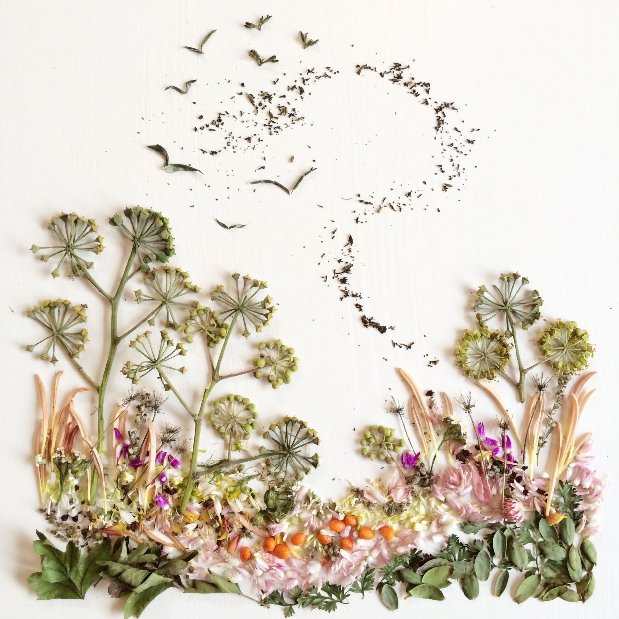 Композиции из сухоцветов