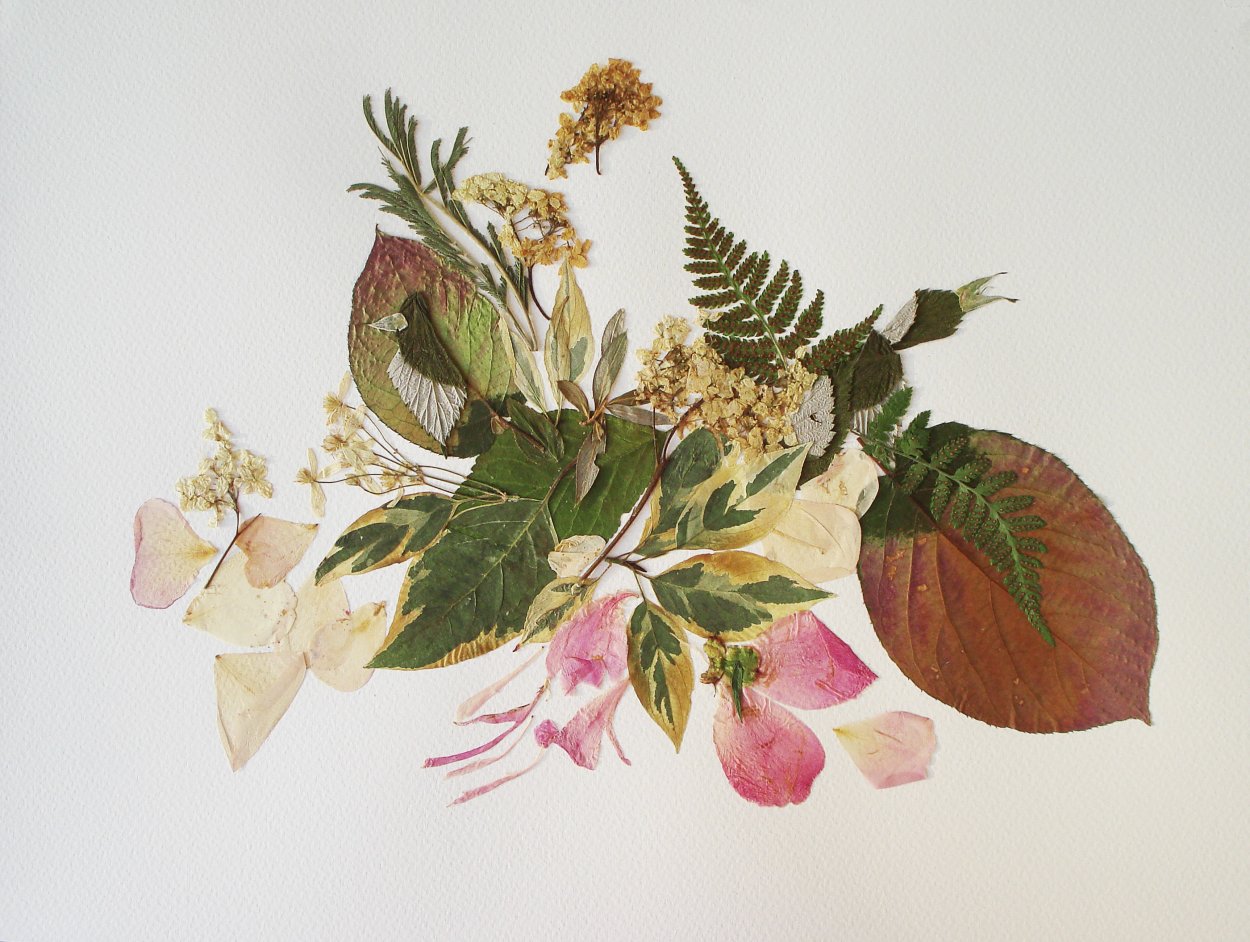 Флористические композиции с корягами