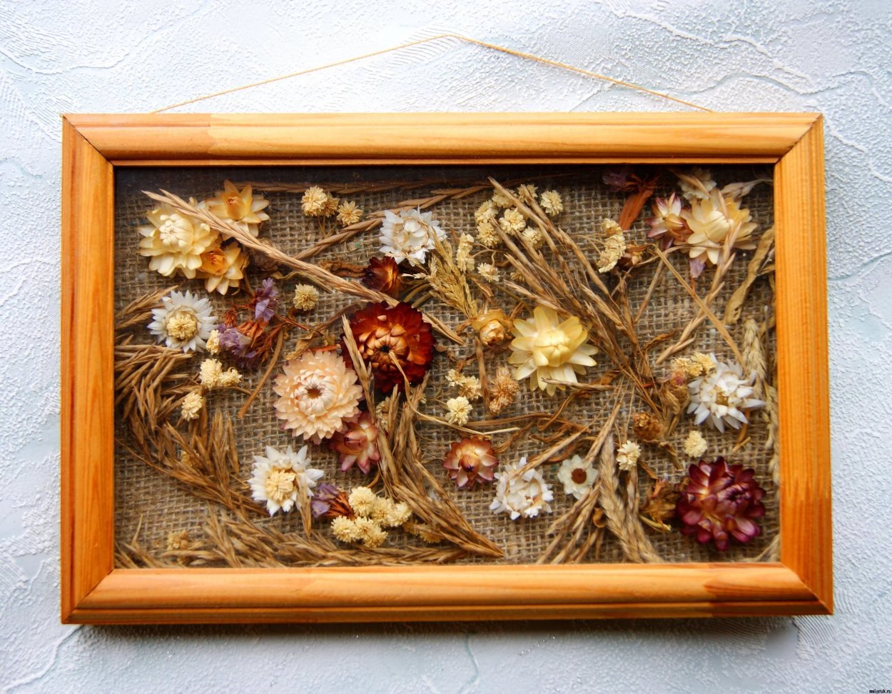 Засушенные растения для декора