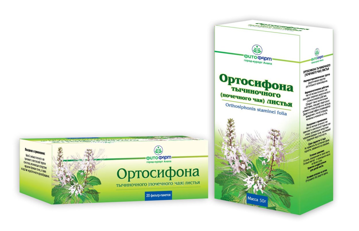 Почечный чай (ортосифон) на белом фоне