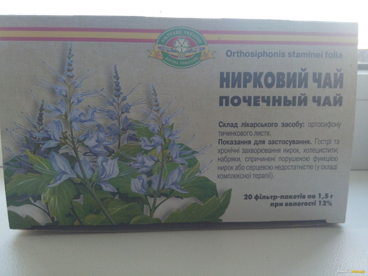 Ортисифон Ботанический рисунок