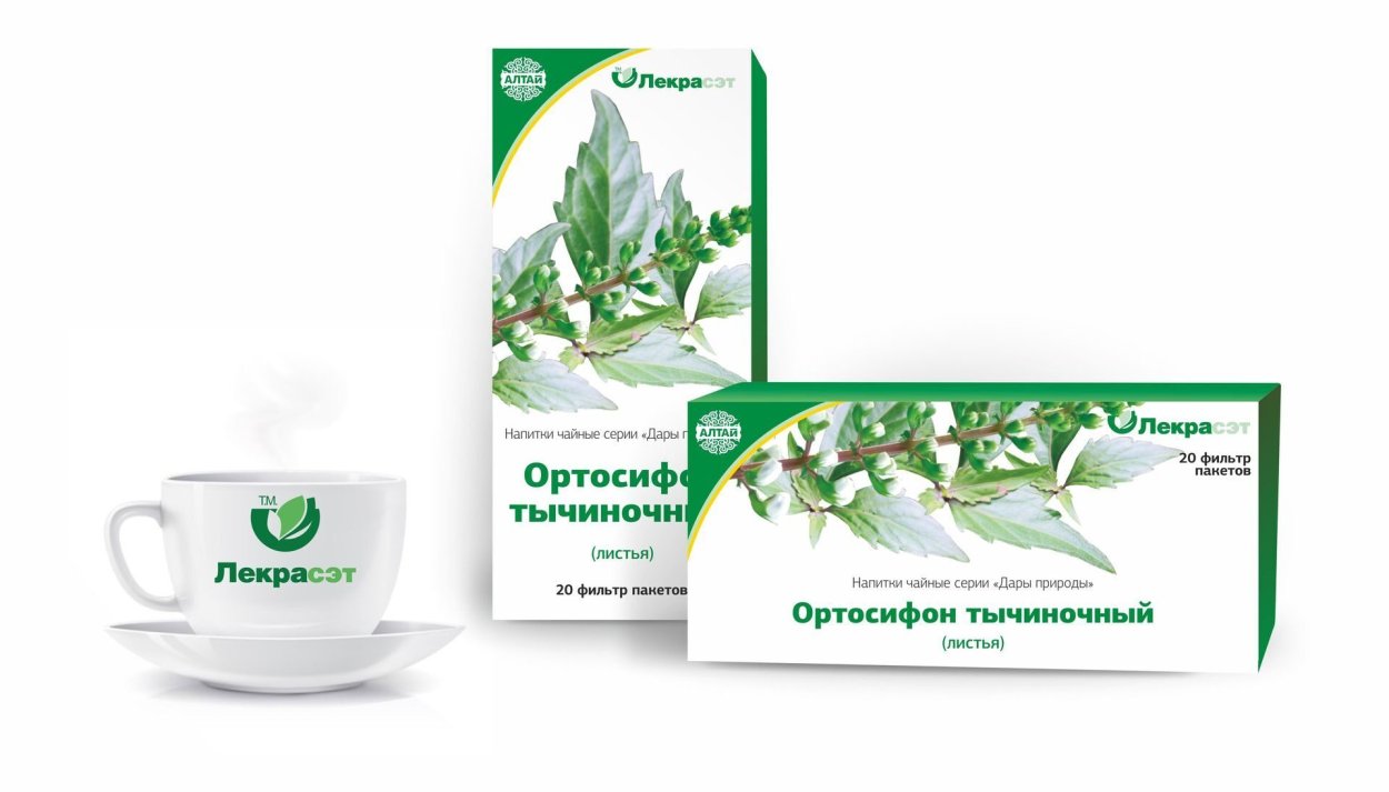 Ортосифона тычиночного почечного чая