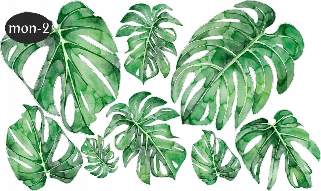 Monstera epipremnoides