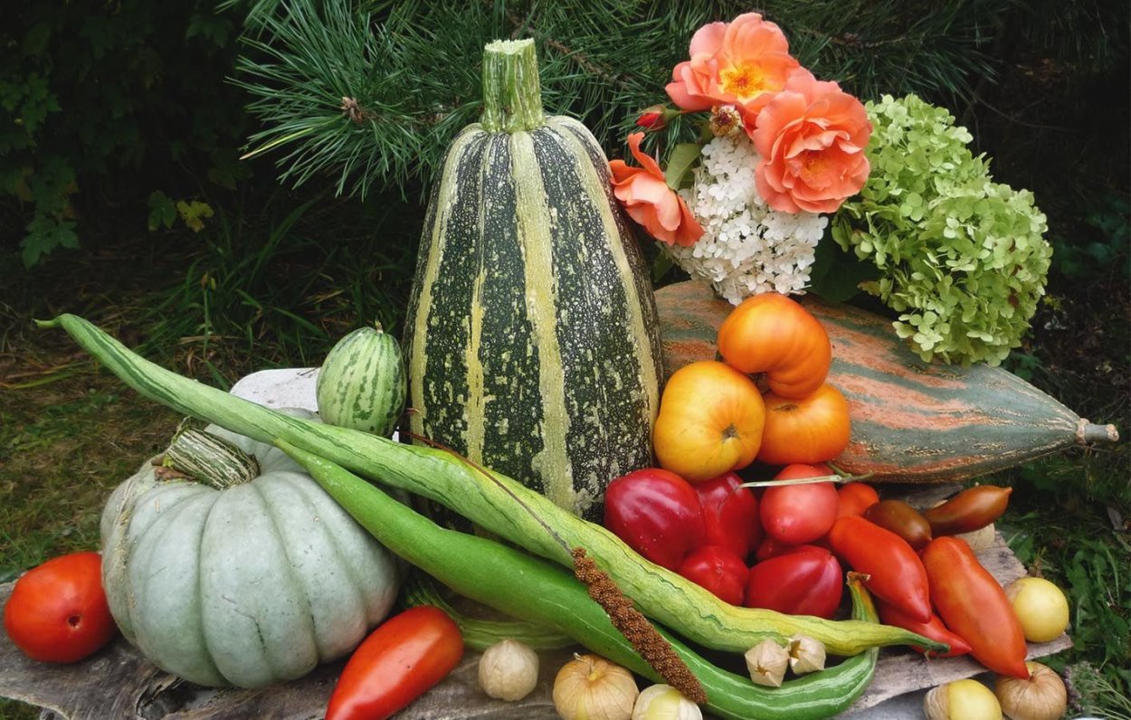 Группы культурных растений ты знаешь