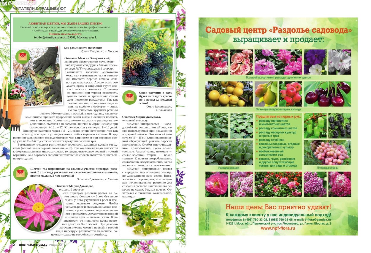 Сельскохозяйственные культуры коллаж