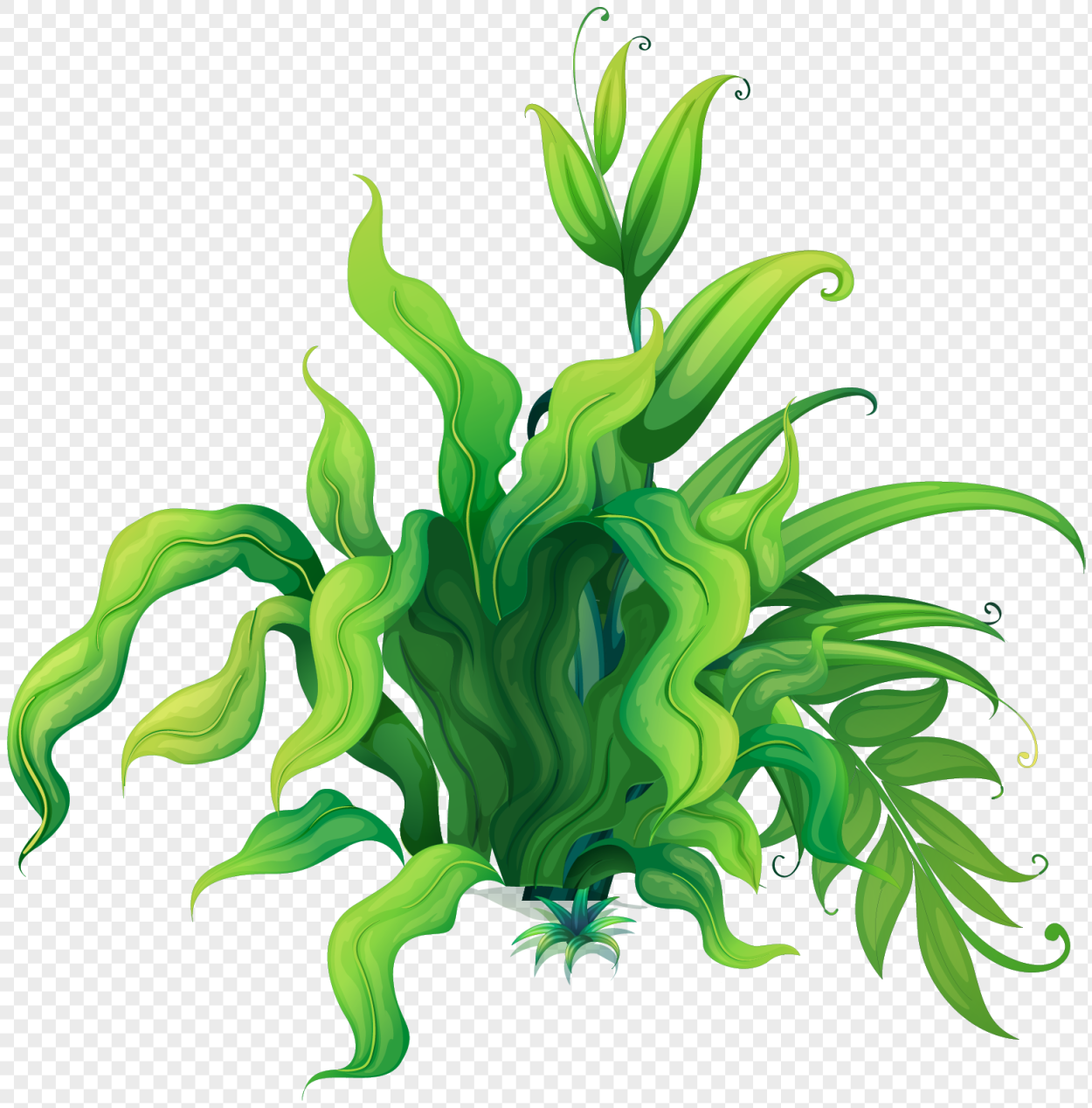 Мультяшные морские растения