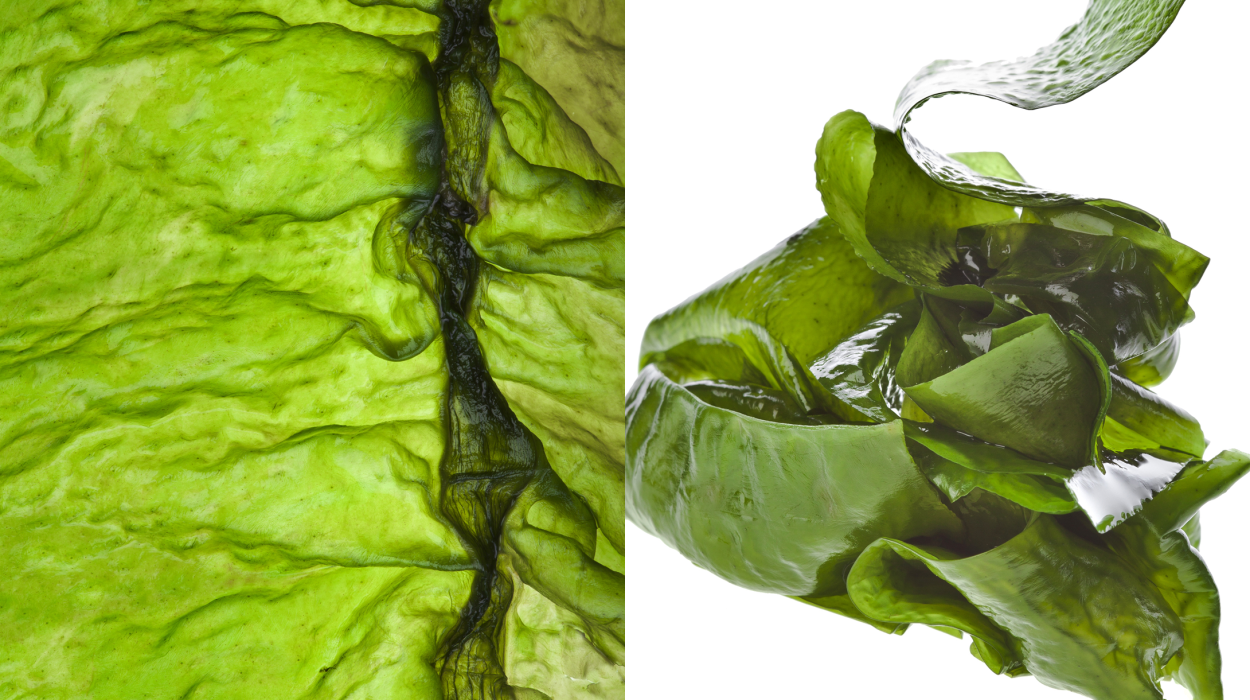 Камешки с водорослями для детей