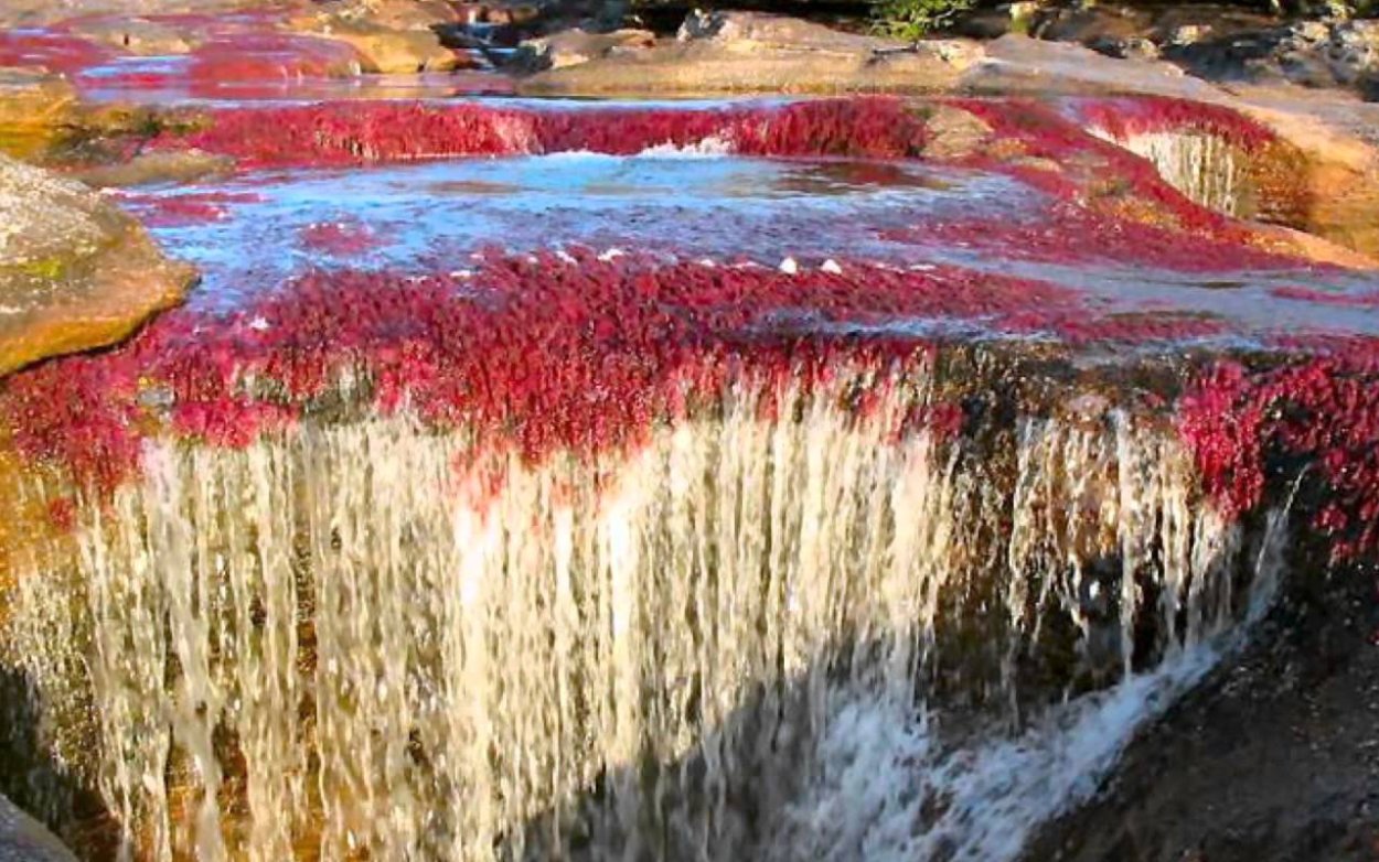 706 Каньо Кристалес