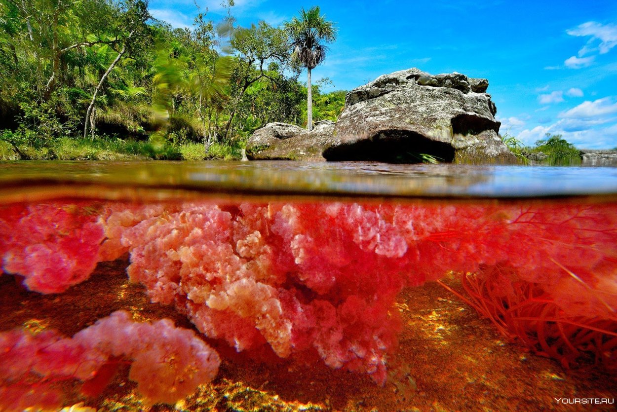 Кристальная река Каньо-Кристалес